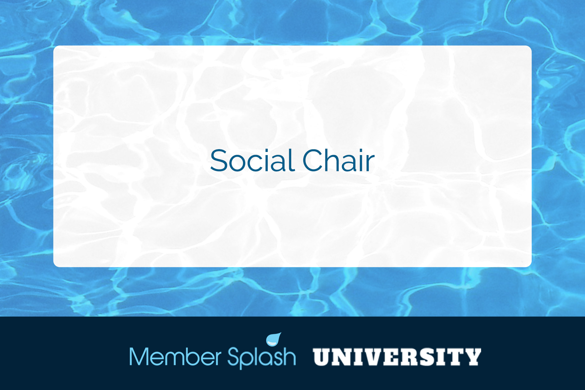 Social Chair